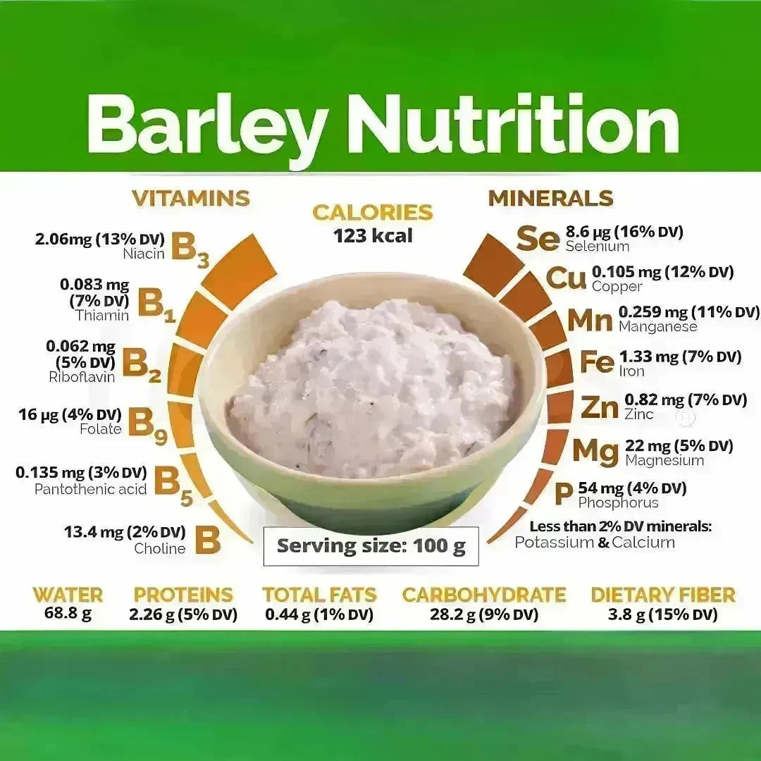 Premium Talbeena(with dry dates & raisins) – 100% Natural – 800g (Tibb-e-Nabwi ﷺ) - Dahab Foods (Private) Limited Pakistan